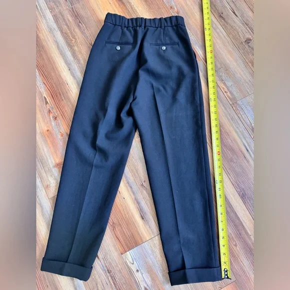 Aritzia - Wilfred, size 4, Black Pleated Trousers - Picture 10 of 11
